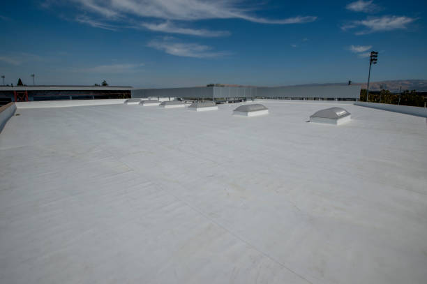 Best Metal Roofing Installation  in Dillonvale, OH