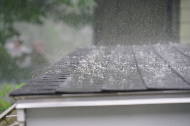 Best Sheet Metal Roofing  in Dillonvale, OH