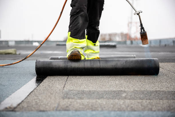 Best Storm Damage Roof Repair  in Dillonvale, OH