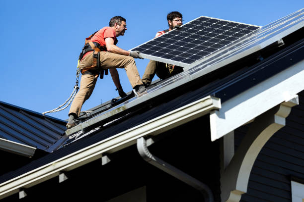 Best Roof Moss and Algae Removal  in Dillonvale, OH
