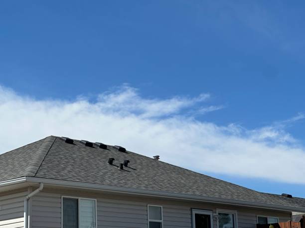 Best Gutter Installation and Repair  in Dillonvale, OH